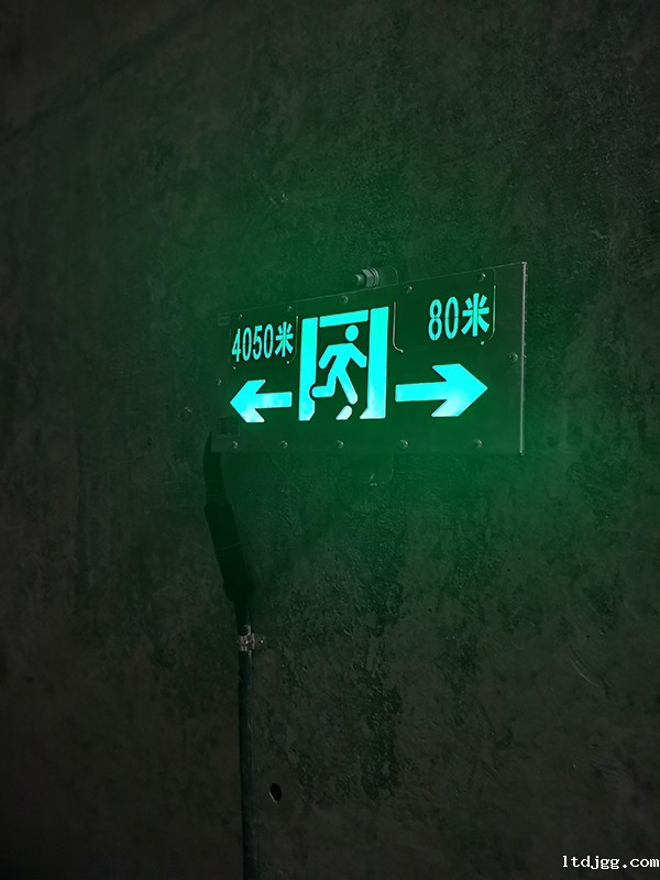 智能疏散指示系统的运行原理是什么？